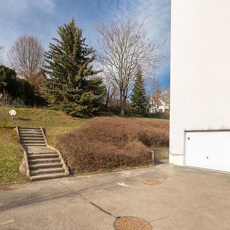 Travel Homes - Le Rebberg, Superbe Vue A Mulhouse Exteriör bild